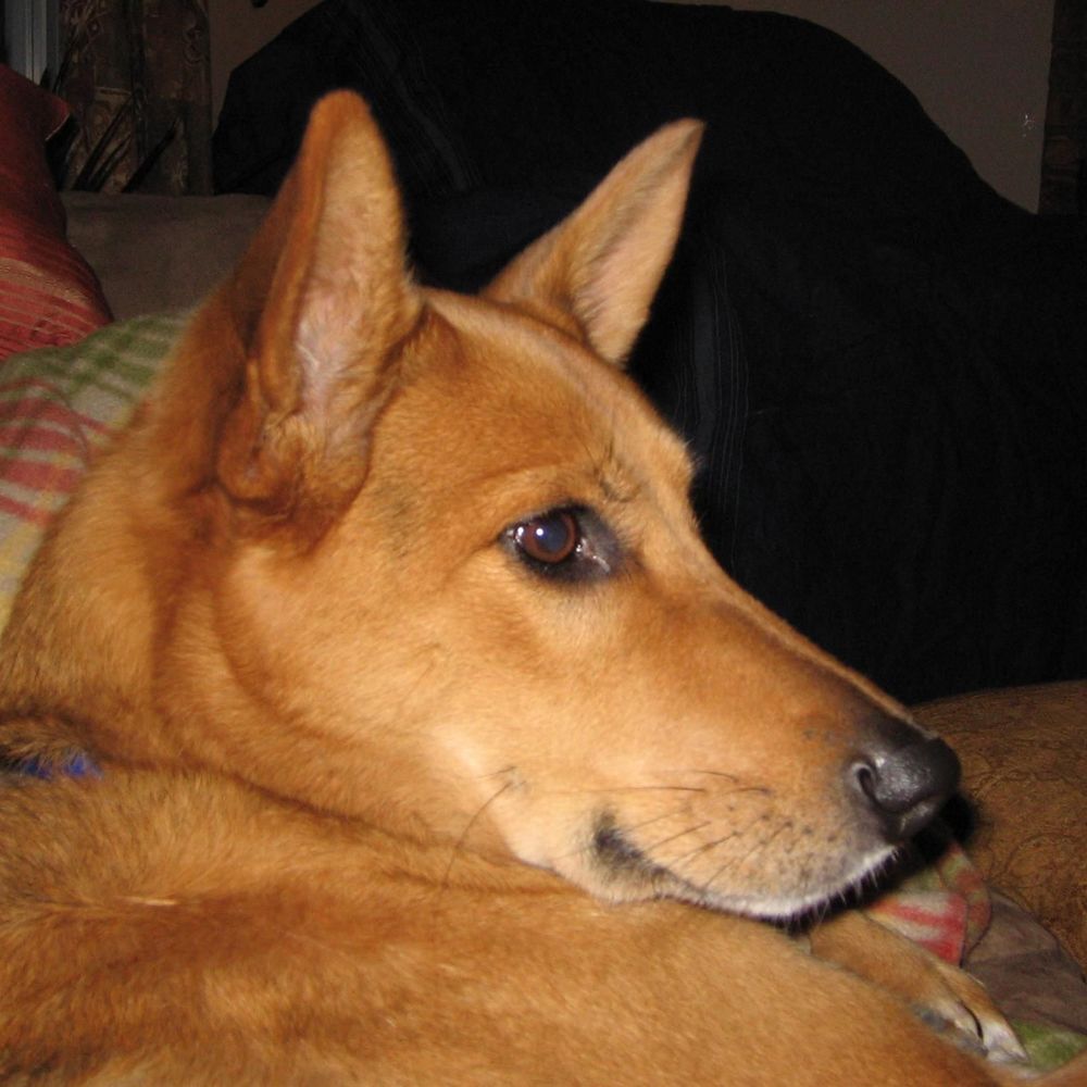 Meet your Posher, Lori